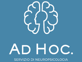 Neuropsicologia AD HOC