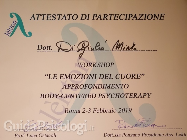 Workshop II of Body Centered Psychotherapy 