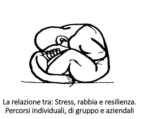 La relazione tra stress rabbia e resilienza.jpg