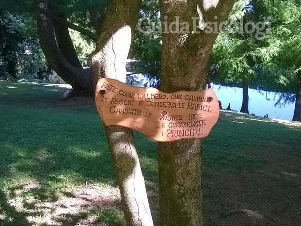 Scritta albero_parco Villa Rossi