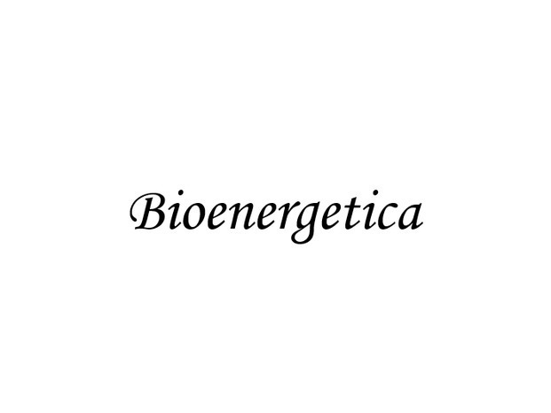 Bioenergetica.png
