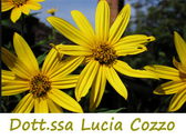 Dott.ssa Lucia Cozzo