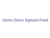 Centro Clinico Sigmund Freud
