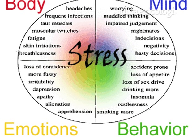 Stress Symptoms