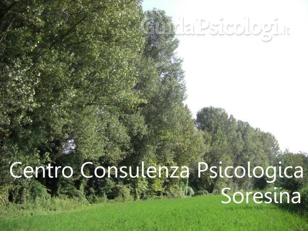 Centro Consulenza Psicologica Soresina 