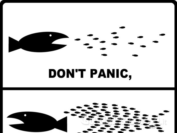 Don't panic...Organise!