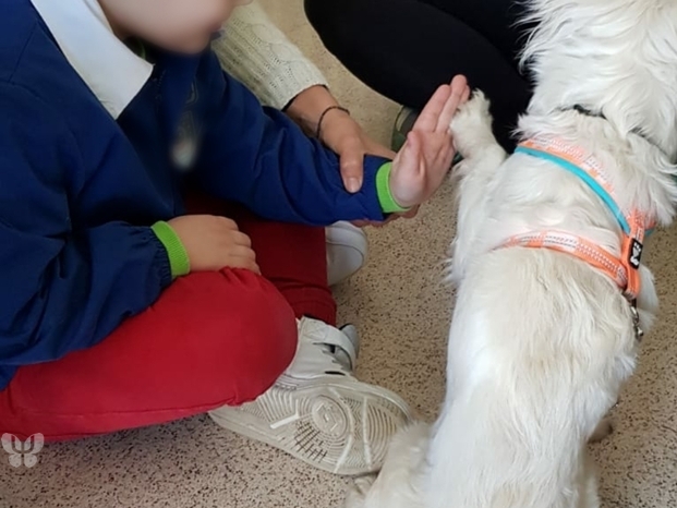 pet therapy a scuola