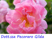 Dott.ssa Pecoraro Gilda