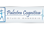 Palestra Cognitiva - Studio Ambrosio