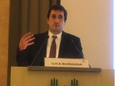 Luca Burigana