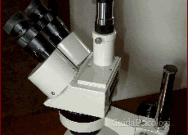 Microscopio per grafologi