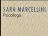 Dott.ssa Sara Marcellini